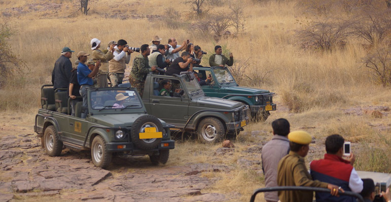 Ranthambore Tour Packages